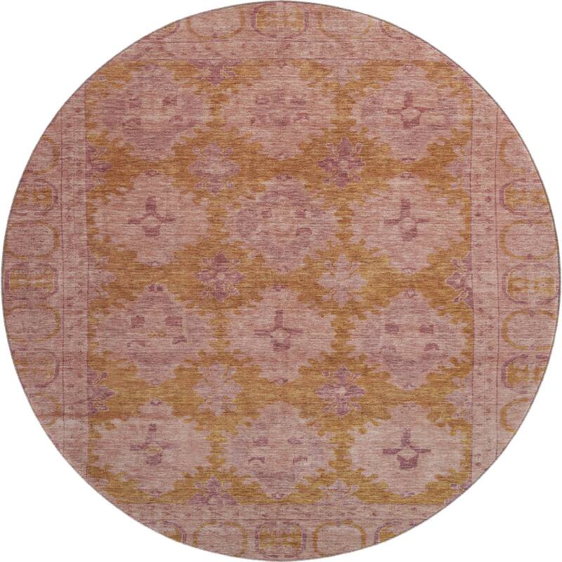 Premium Washable Super Soft Vintage Traditional Mayfield Rug