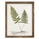 preview thumbnail 49 of 138, Nature Printed Ferns IX -Framed Print w/glass-Cherry Red 12x15 - Walnut