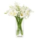preview thumbnail 1 of 2, Enova Home Mixed Artificial Real Touch Lily and Baby Breath Flower Arrangement in Clear Glass Vase with Faux Water - Cream White Cream White
