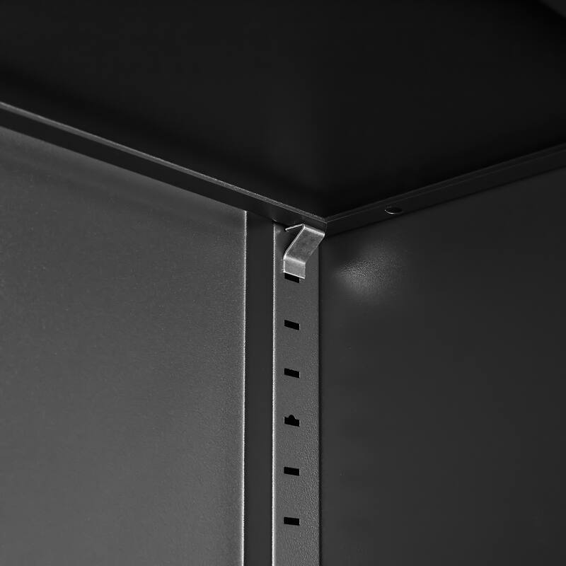 Modern 2-Door Filing Cabinet, Organization Cabinet with Lock, 4 Adjustable Shelves, for Commercial Office Home Office, Black