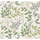 Option Beige/Green