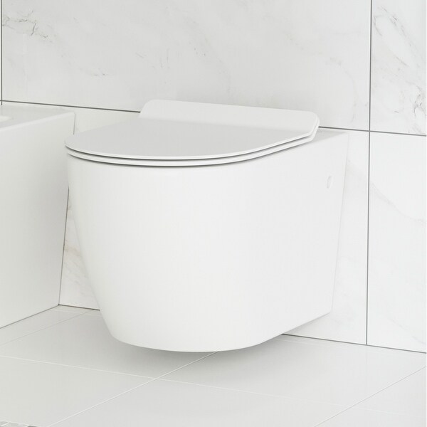 st tropez wall hung toilet