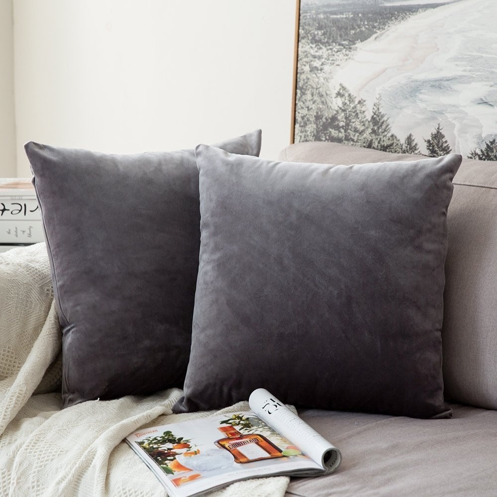 https://ak1.ostkcdn.com/images/products/is/images/direct/f66421985420405b84bd2892635dbb43018053b5/Soft-Velvet-Soild-Decorative-Grey-Throw-Pillow-Covers%2C-Pack-of-2.jpg