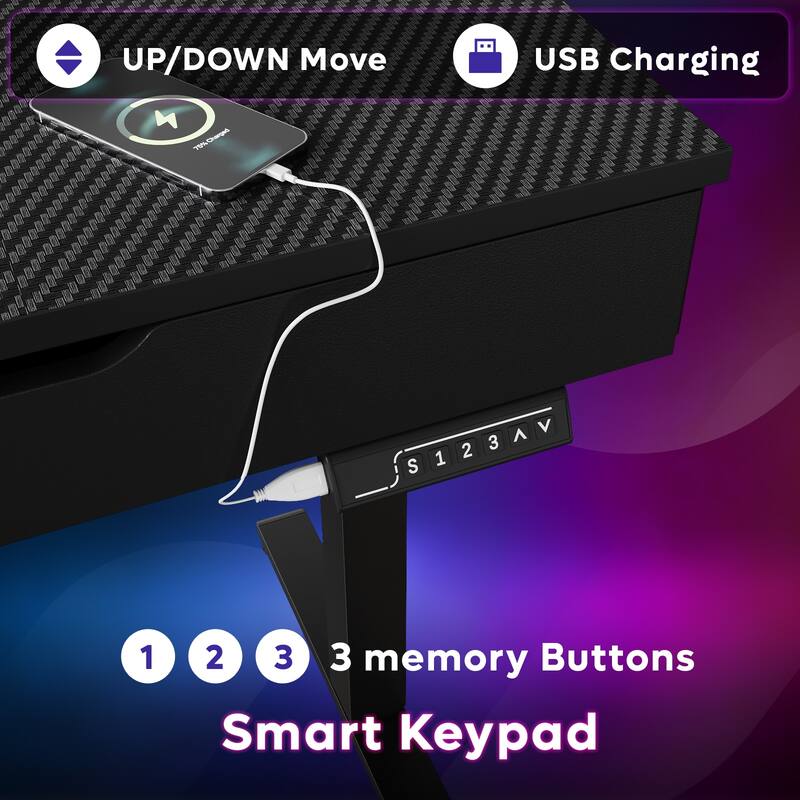 Standing Desk Electric Height Adjustable Gaming Desk with Drawer USB Port and LED Light Computer Desk