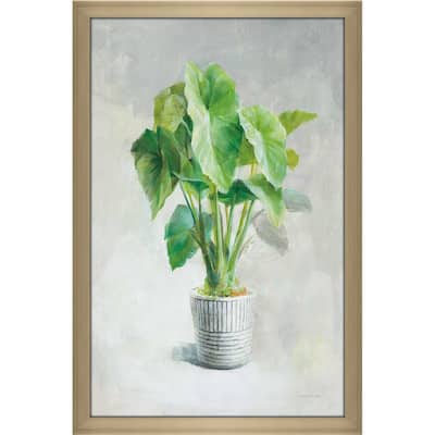 "Greenhouse Palm I" Print on Acrylic