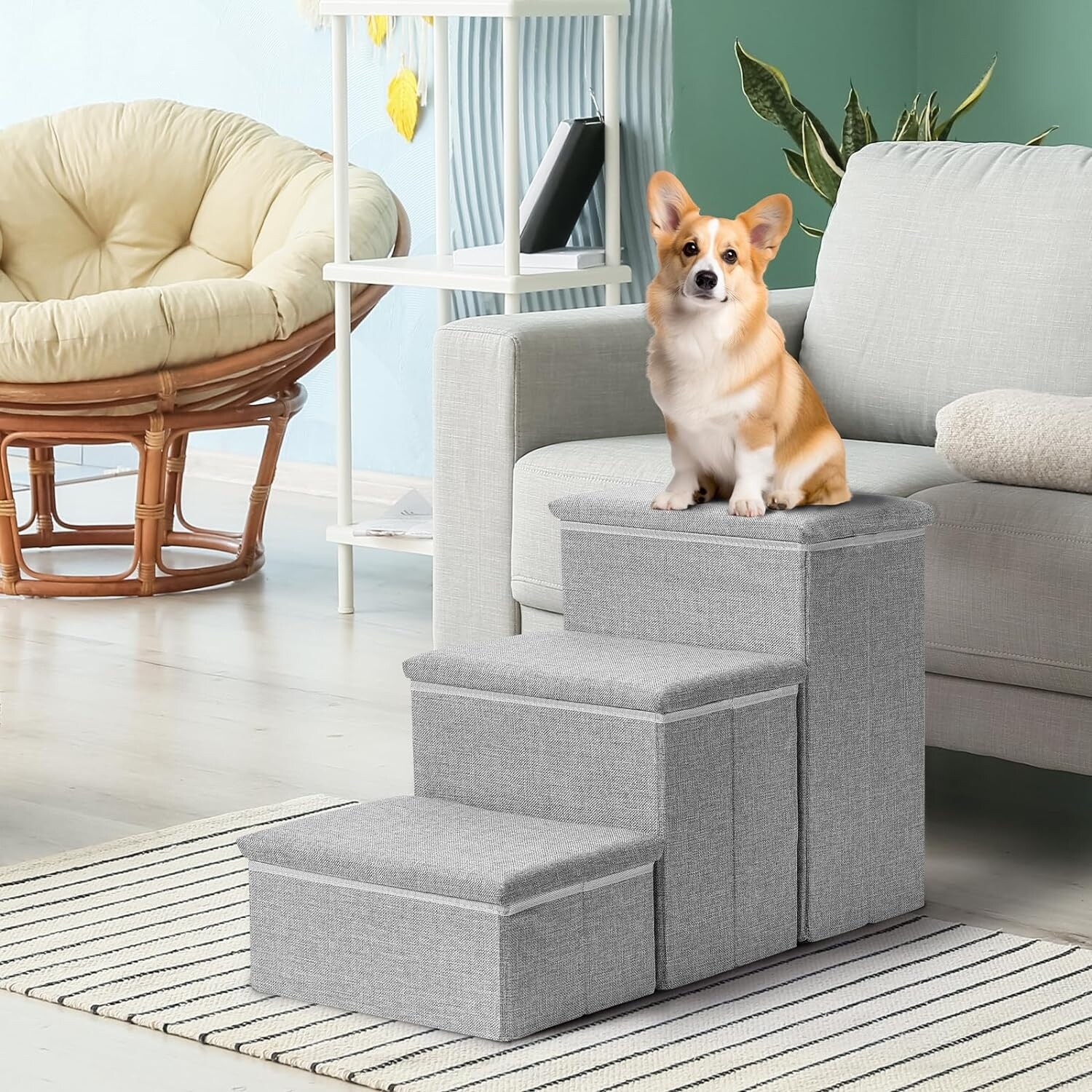 Pet steps bed bath hotsell beyond