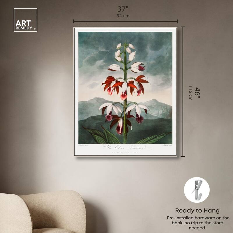 The China Limodoron 1807 Canvas by Art Remedy