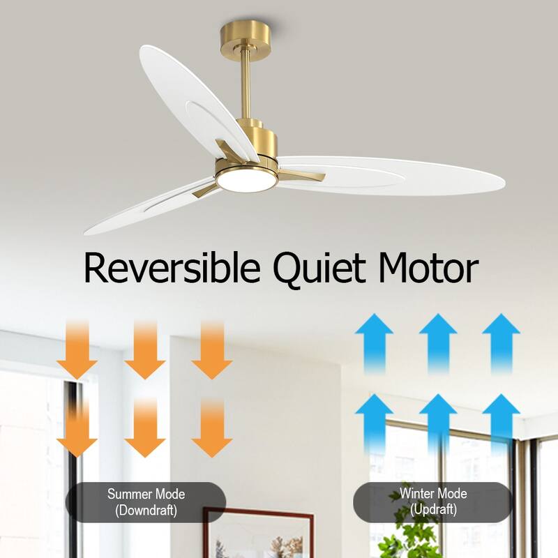 WINGBO 60-in 3-Blades Indoor Ceiling Fan with LED Light & Remote