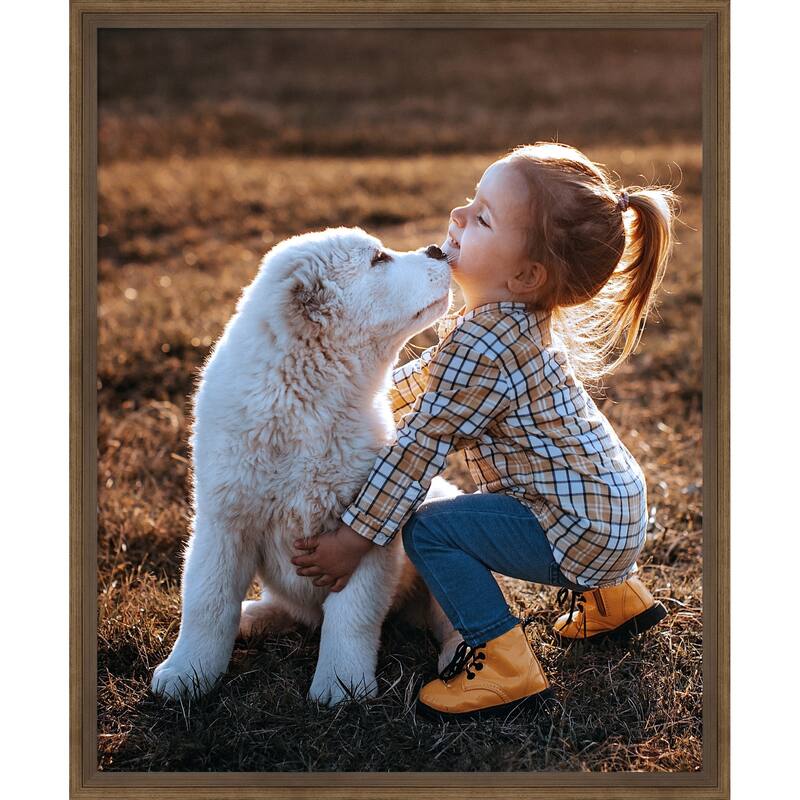 Lucie Black Framed Picture Frame, Photo Frame - 18x22 - Lucie Light Bronze