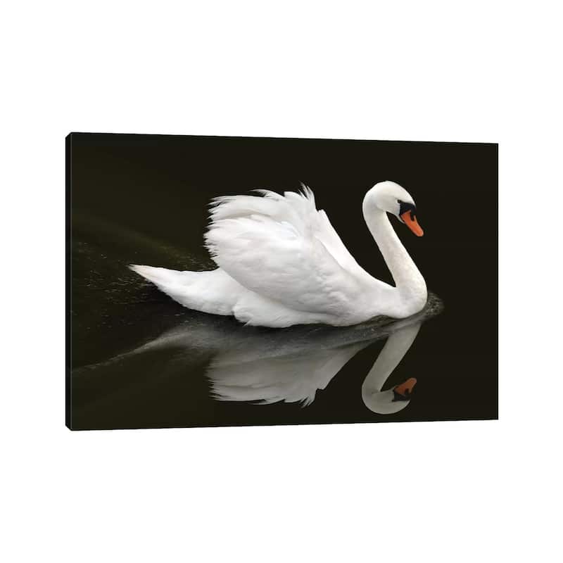 iCanvas "Swan" by Ben Heine Canvas Print