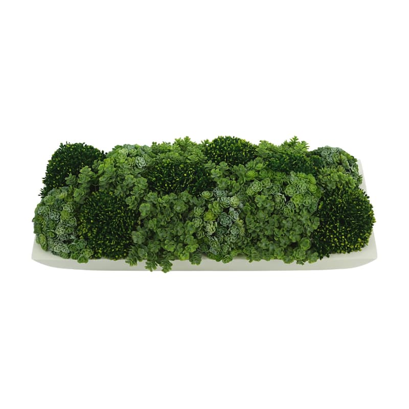 Chick Succulent and Sedum Arrangement in Pot - Green