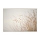 preview thumbnail 12 of 13, Kate and Laurel Sylvie Marsh Grass No 1 Framed Canvas by Crystal Lynn Collins