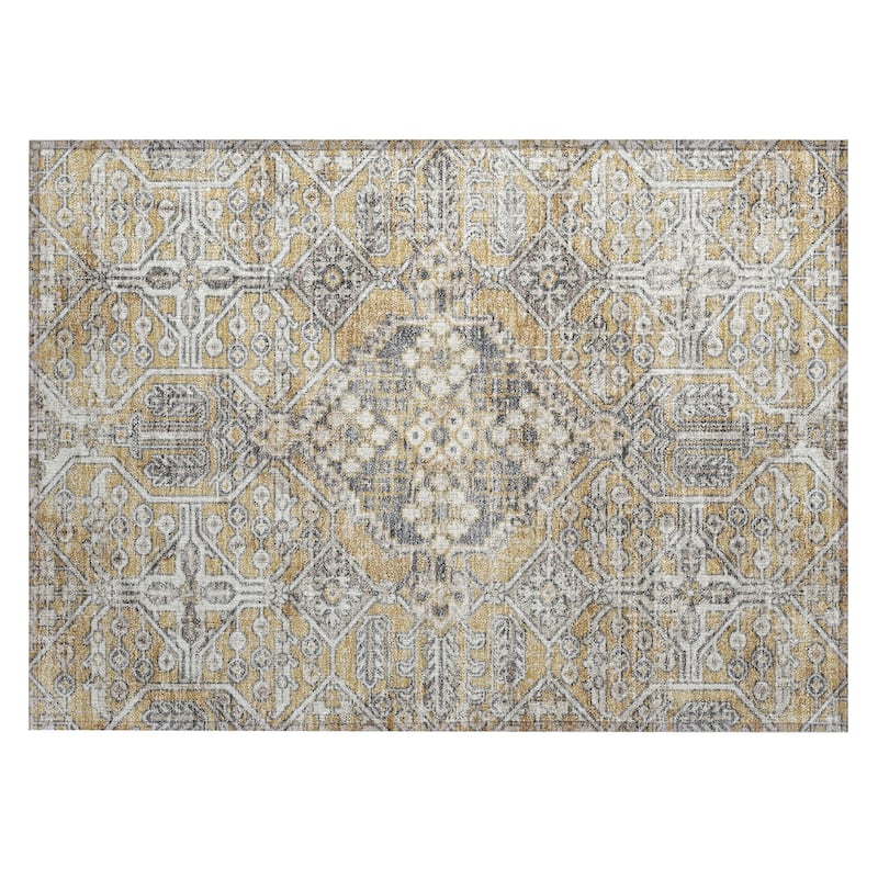 Machine Washable Indoor/Outdoor Traditional Eclectic Chantille Rug