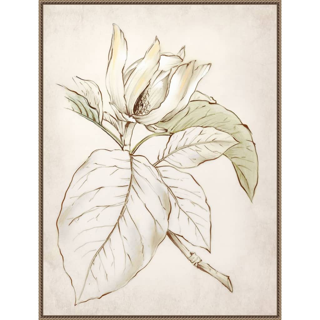 Botanical No. 2 by Alex Black Framed Canvas Wall Art Print