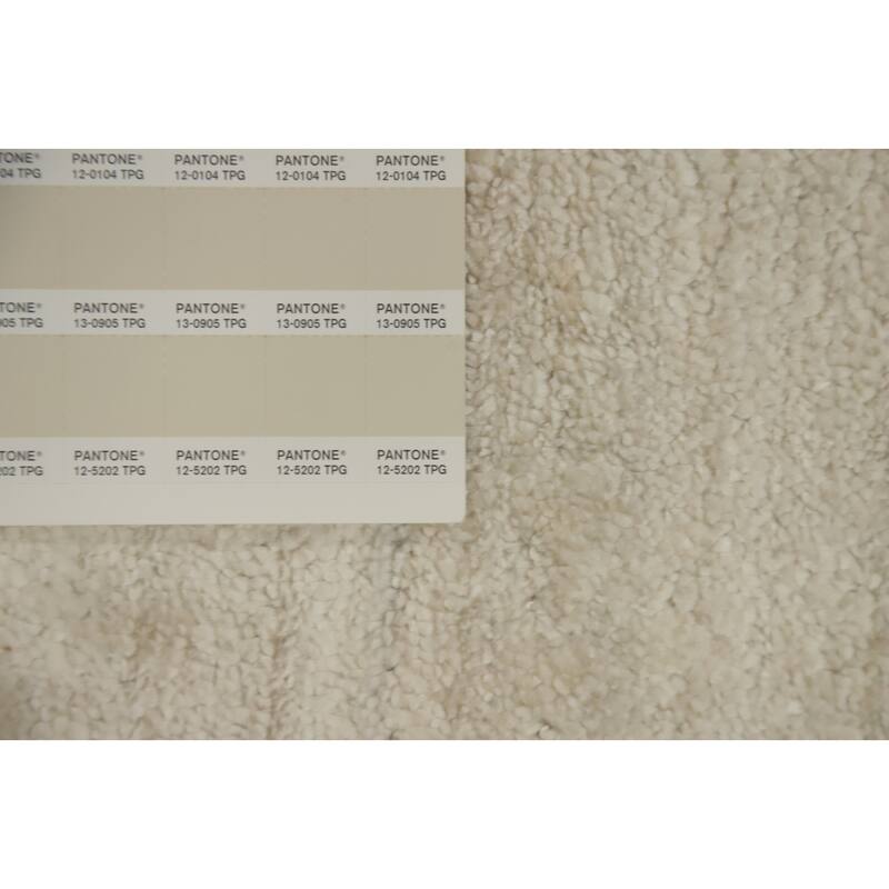 Hand Knotted Oriental Viscose Silk Carpet Tribal Animal Pictorial Beige & Ivories Gabbeh Area Rug - 9' 7'' X 9' 9''
