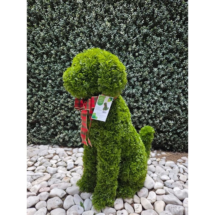 Topiary Outdoor / Indoor - Green - N/A
