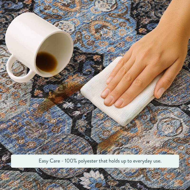 Machine Washable Indoor/ Outdoor Traditional Tracey Chantille Rug