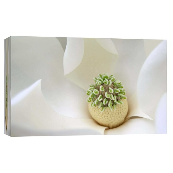 PTM Images 9-103744 PTM Canvas Collection 8" x 10" - "Southern Magnolia" Giclee Magnolias Art Print on Canvas