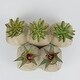 preview thumbnail 4 of 2, 2 Pieces Green Plants Artificial Hanging for Bathroom Home Decor