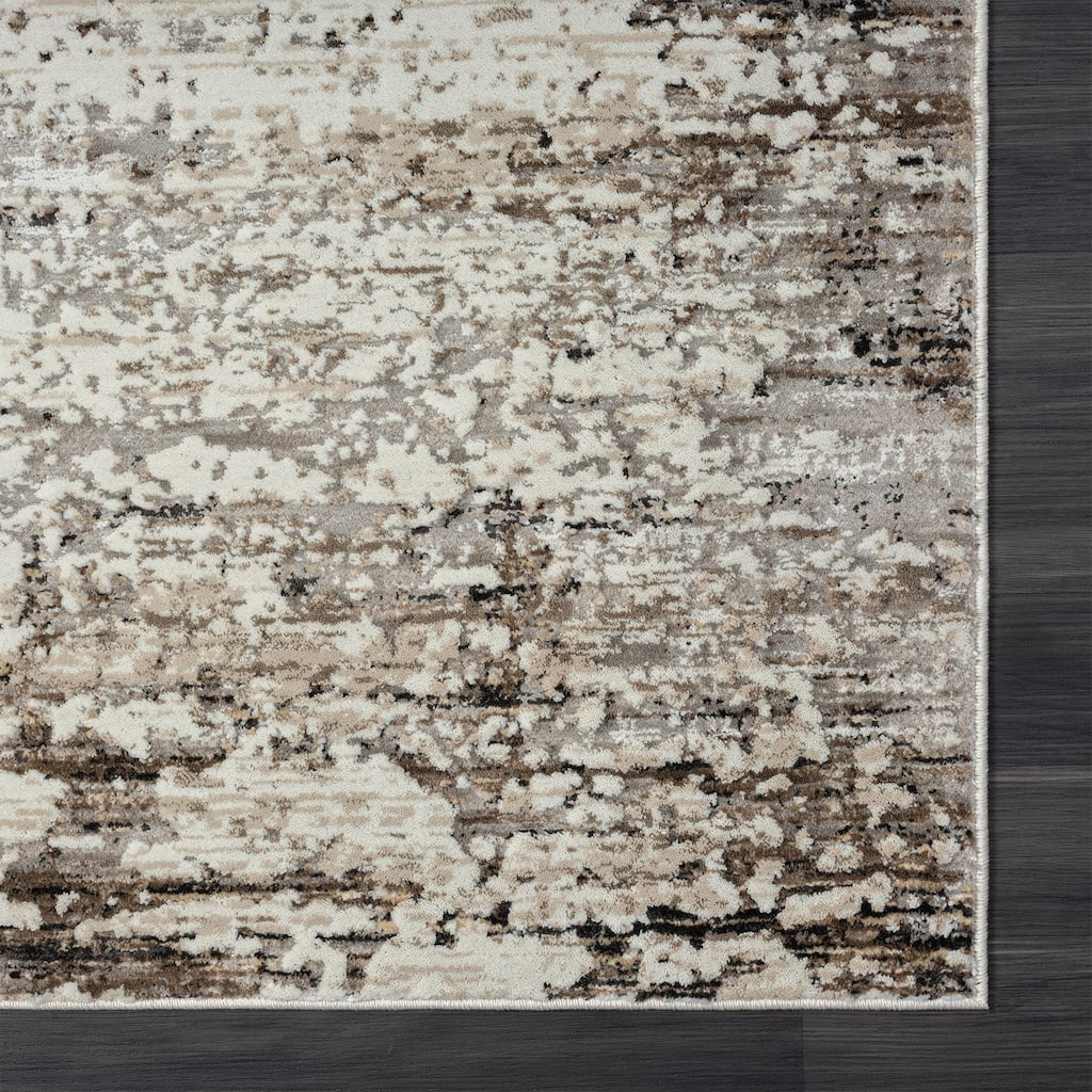 Distressed Abstract Area Rug - 2' x 3'