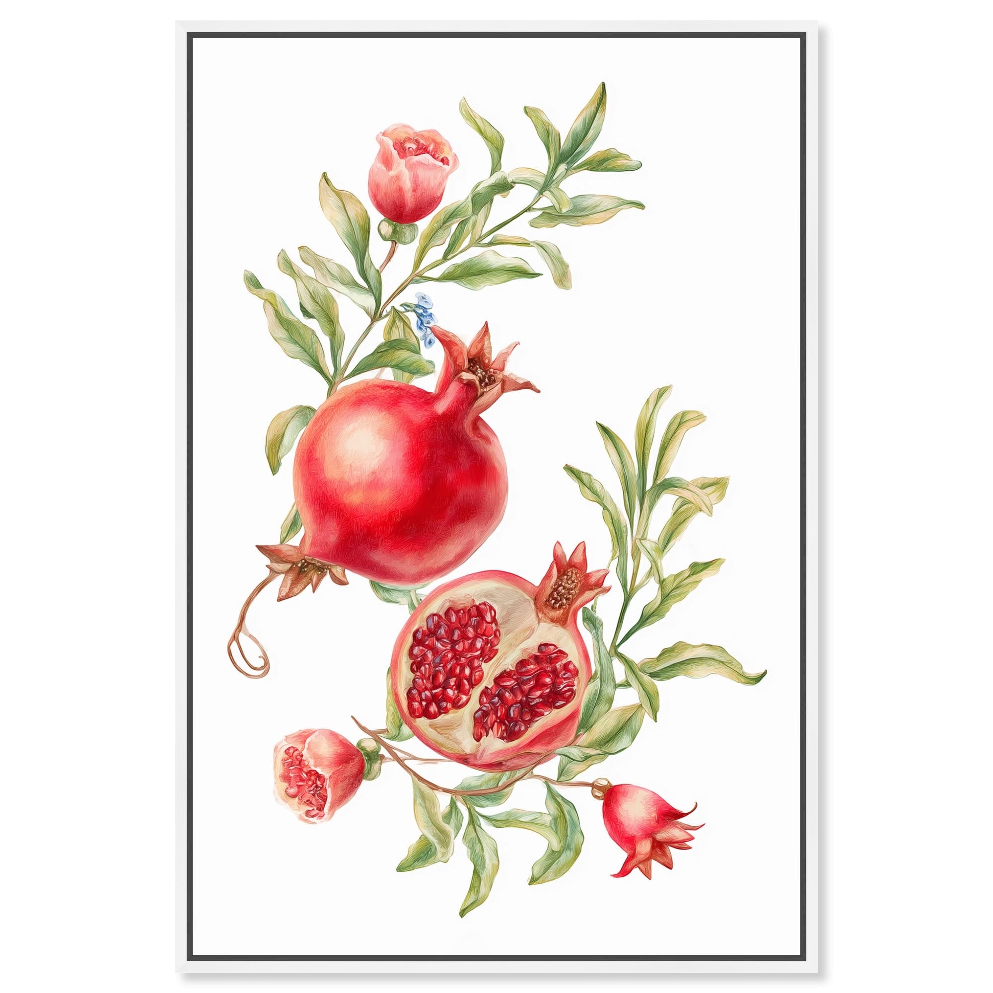 Pomegranate Bloom II Summer Prints Framed Canvas Print by Art Remedy