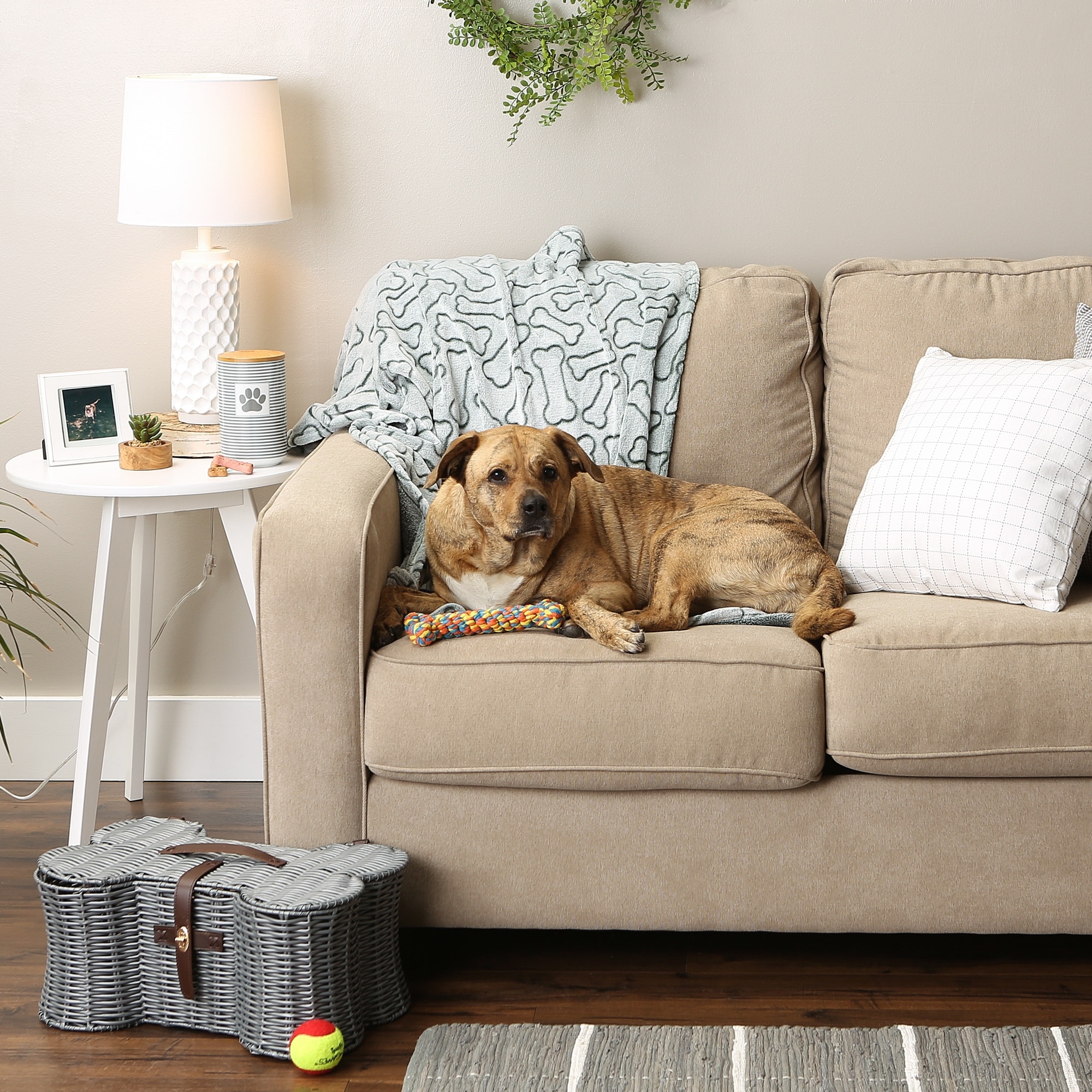 Bone dry sales dog blanket