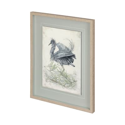 Tricolored Heron Framed Art Print