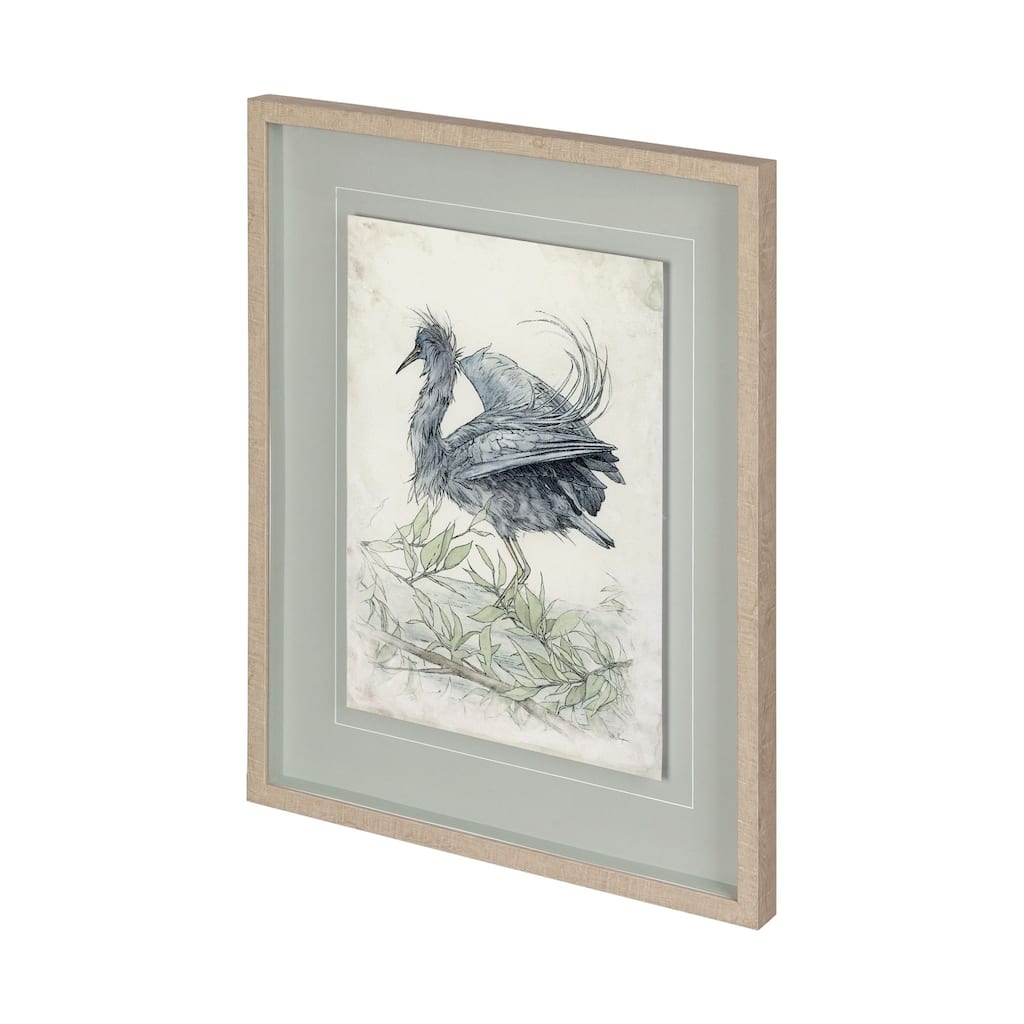 Tricolored Heron Framed Art Print