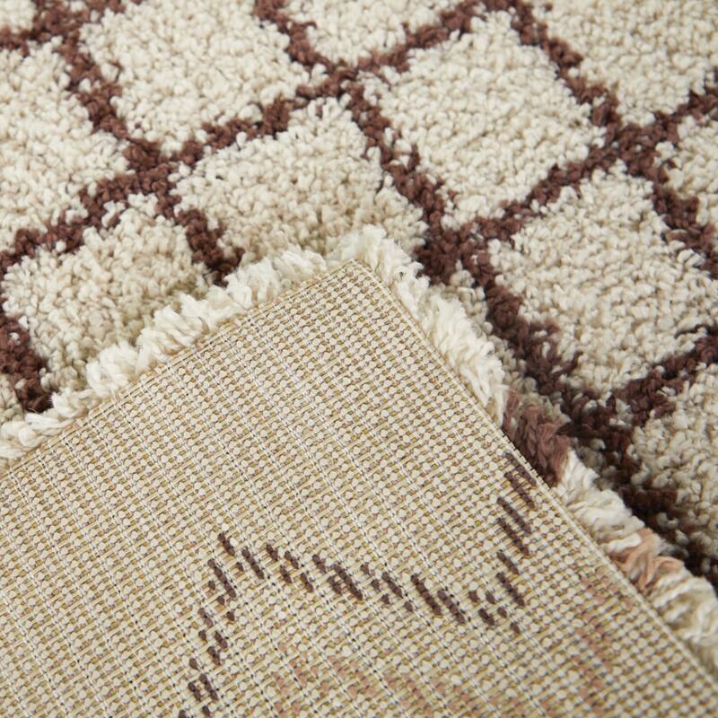 Catrin Diamond Trellis Shag Area Rug