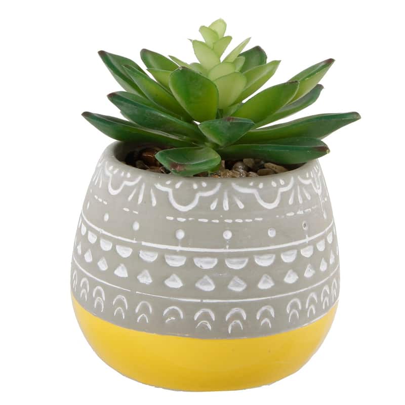 Succulent In 2 Tone Mayan Ceramic Pot,Yellow