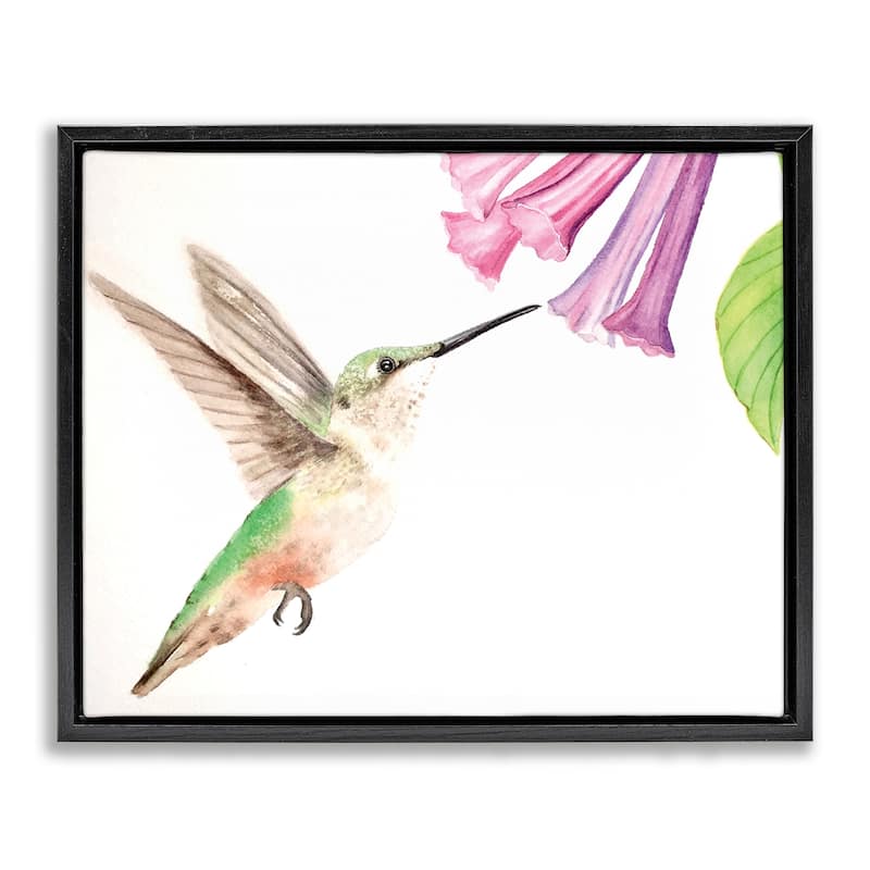 Stupell Hummingbird & Bluebell Flower Framed Floater Canvas Wall Art Design By Stephanie Fielden - 21 x 17 - Black