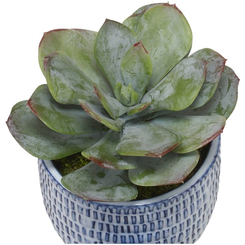 Uttermost 60192 Puebla Set of (3) Greenery Succulent and Spider Plants - Cobalt Blue / White