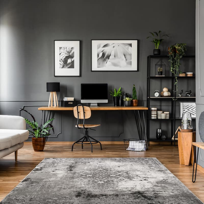 Everest Olympia Traditonal Distressed Area Rug