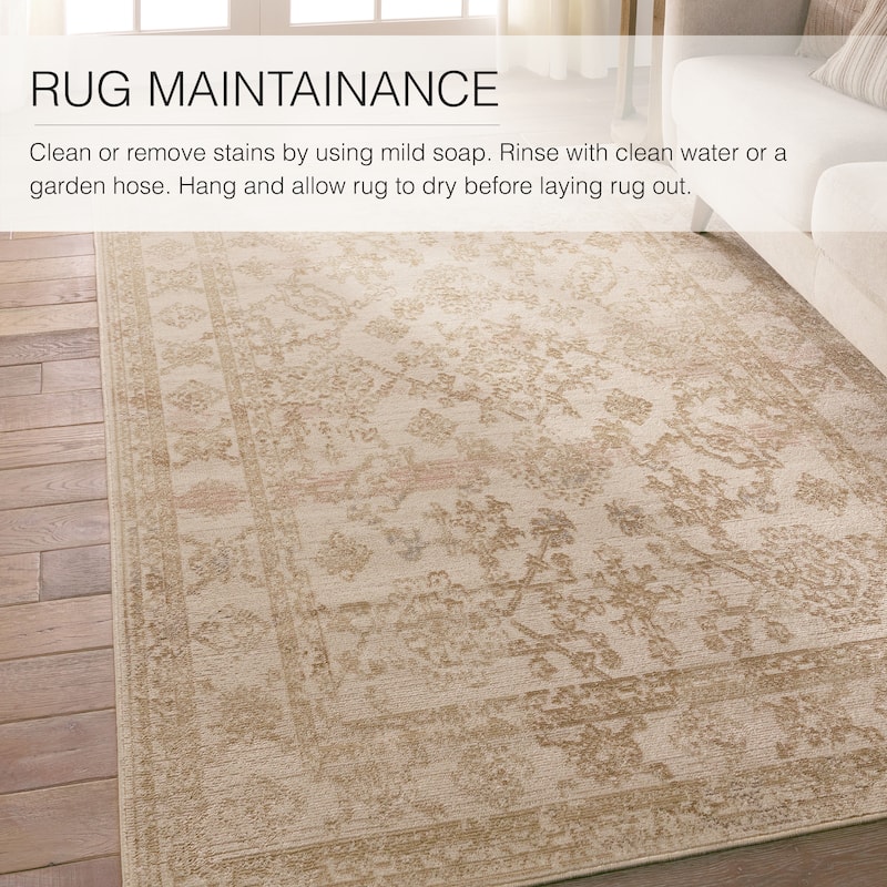 Salerno Indoor/Outdoor Medallion Area Rug
