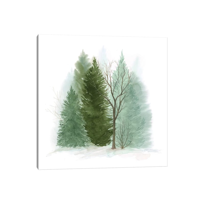 iCanvas "Walk in the Woods II" by Grace Popp Canvas Print