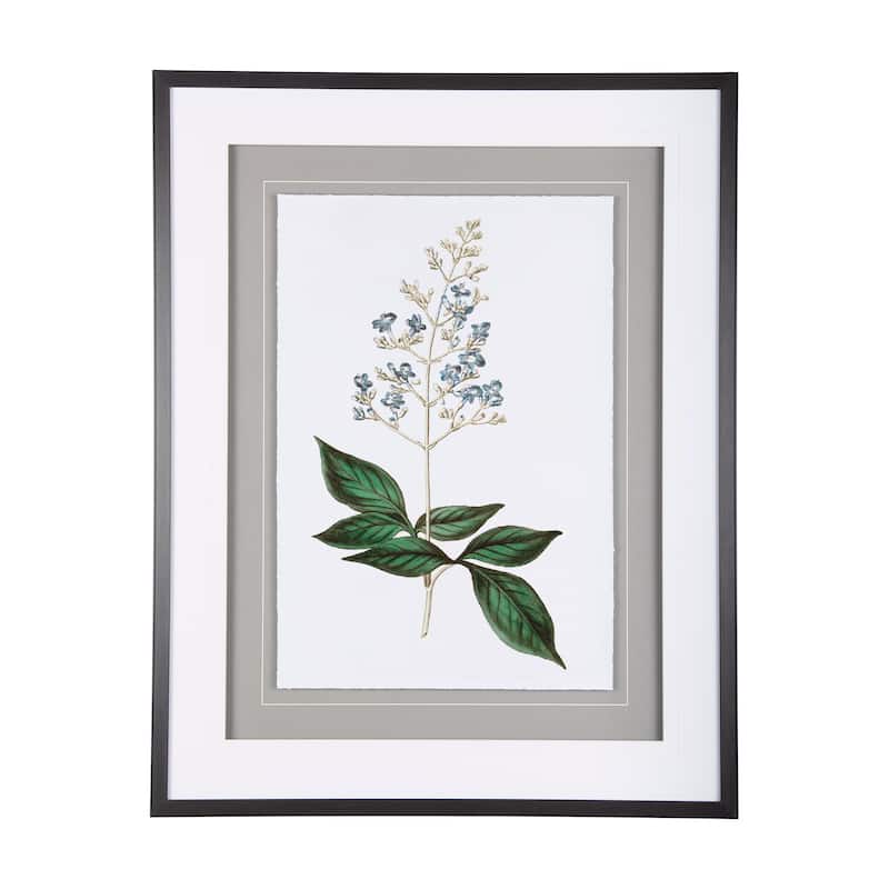 Soft Blue Botanicals IV Framed Art Print