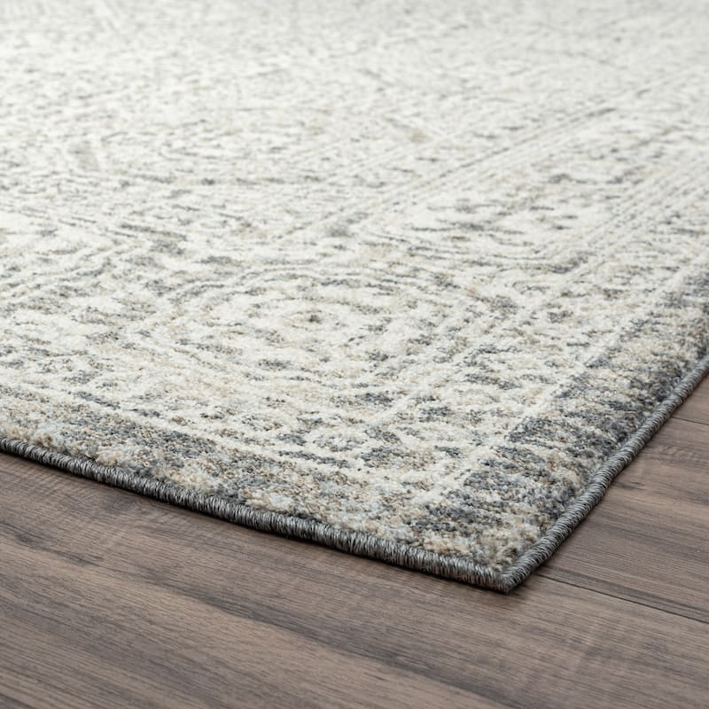 Tucson Farmhouse Oriental Indoor Area Rug