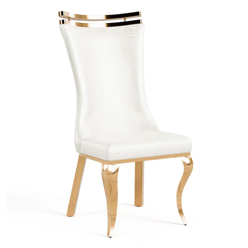 Furniture of America Thaddeus Glam Stainless Steel Upholstered Dining Side Chair (Set of 2)