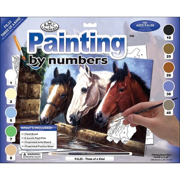 Junior Large Paint By Number Kit 15.25"X11.25"-3 Of A Kind