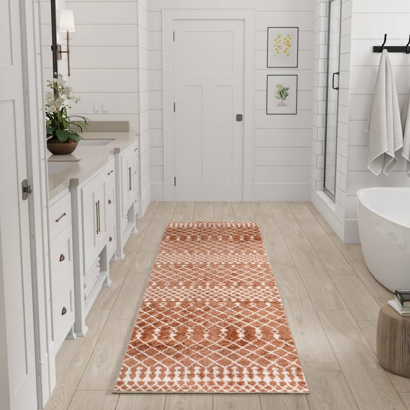 Nourison Astra Machine Washable Moroccan Area Rug