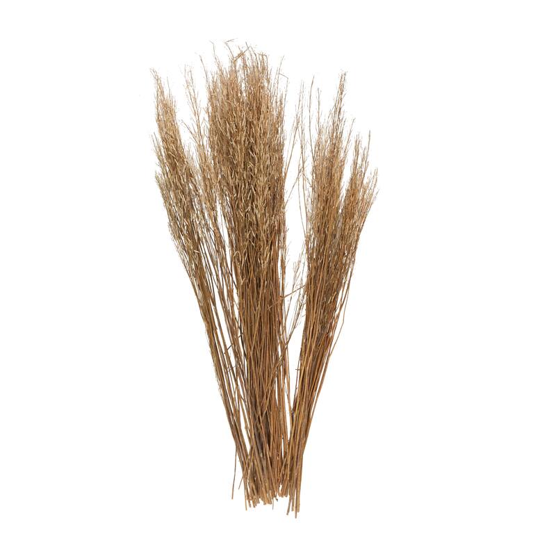 Dried Plant Tall Sticks Home Decor Natural Foliage with Grass - Brown - Roche River Decor
