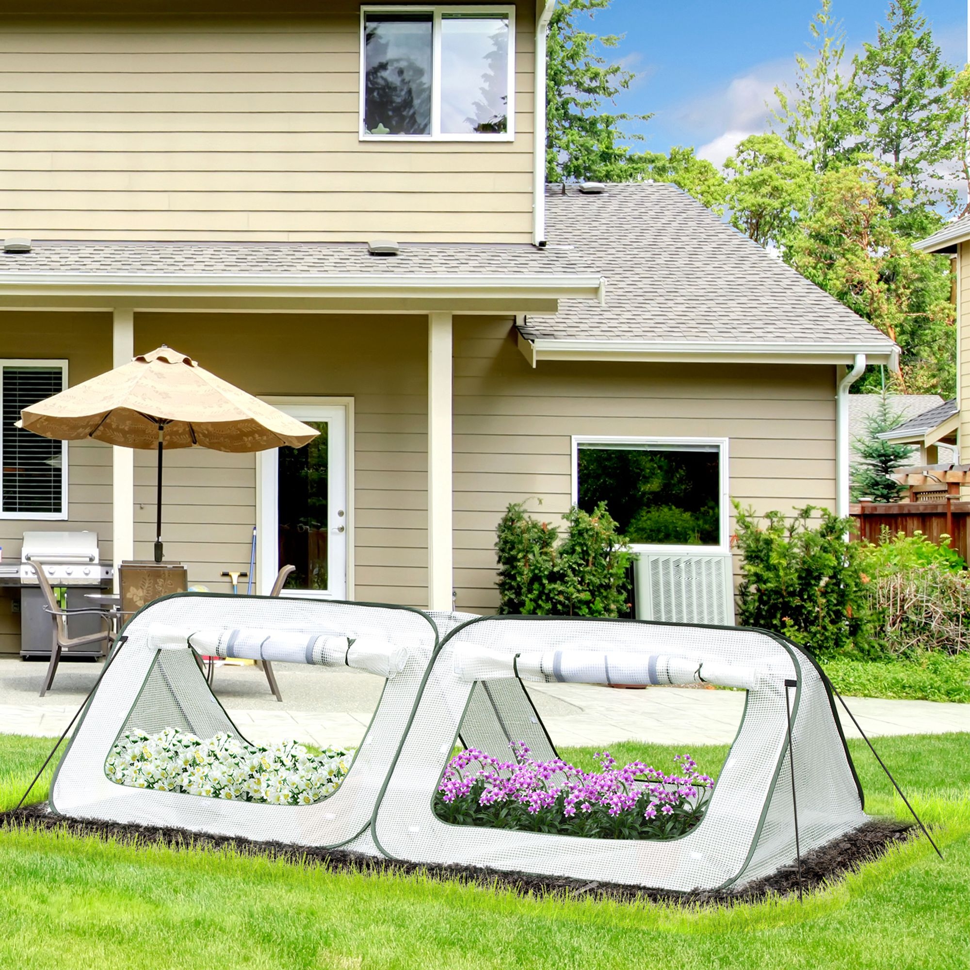 Pop up hot sale greenhouse tent