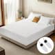 Option White