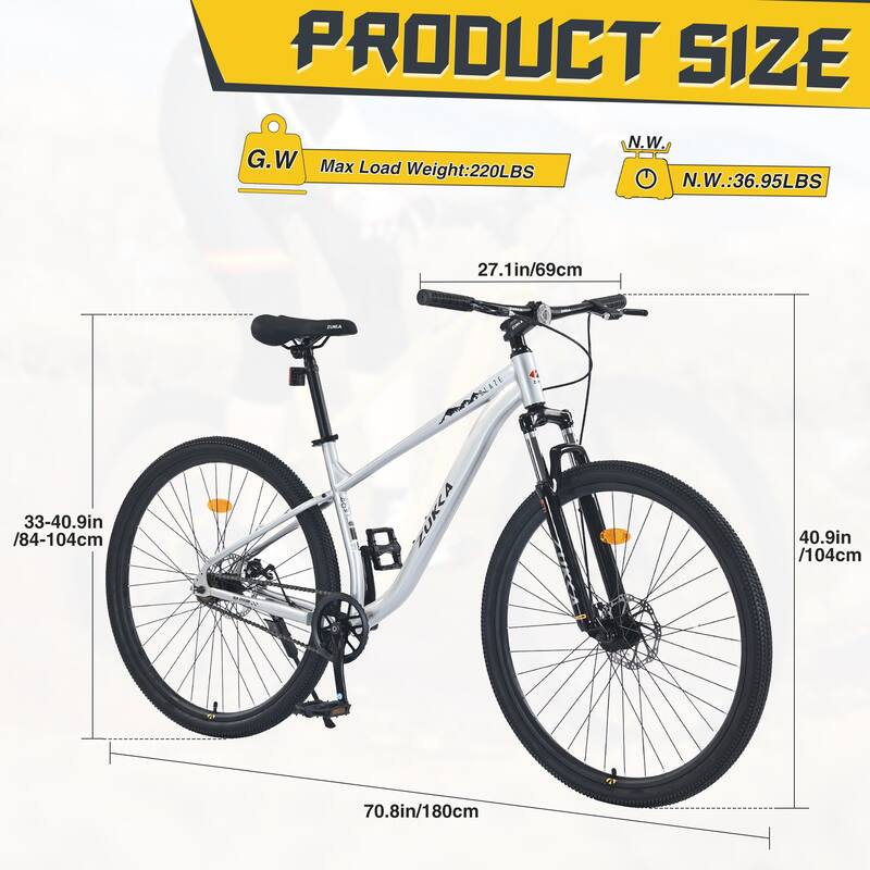 29 Inch Single Speed Mountain Bike with Front Suspension, Double Disc Brakes, Steel Frame for Adults, Boys & Girls