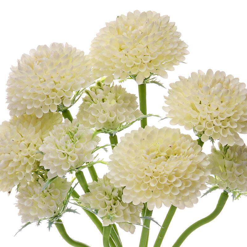 14" Scabiosa Bundle