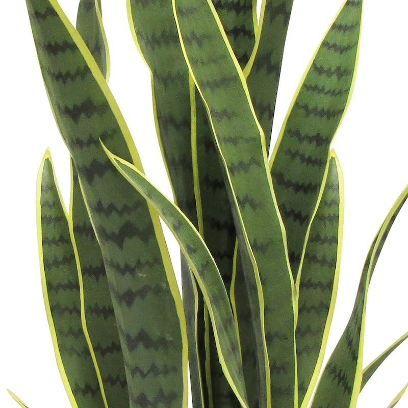Artificial Sansevieria Snake Plant in Black Pot
