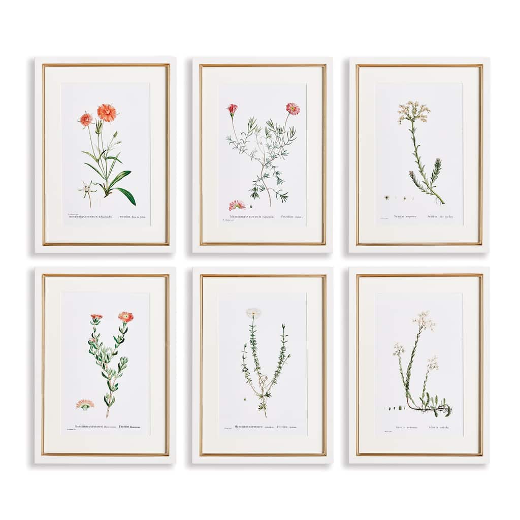 Flower Studies In Shades Of Blush