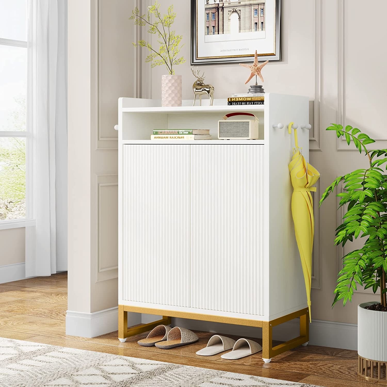 Small modern store shoe rack