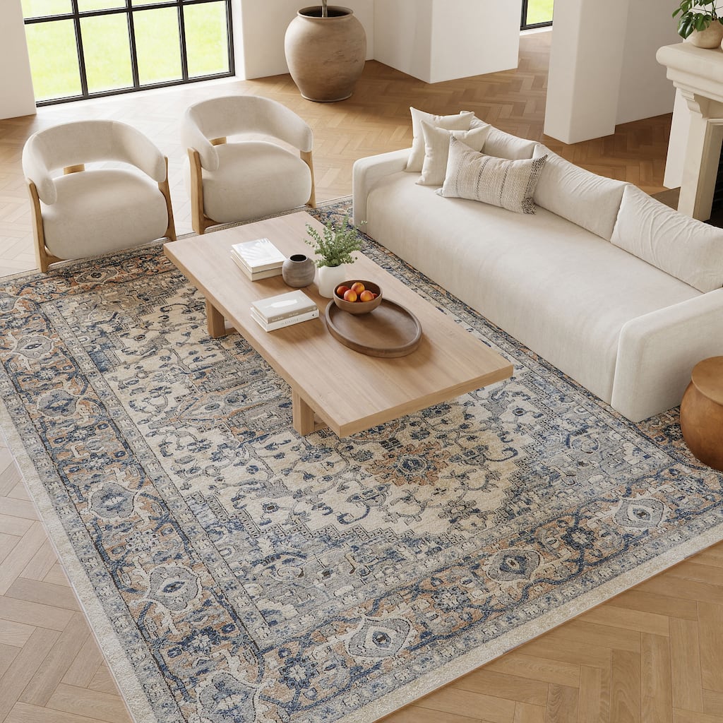 Nourison Concerto Classic Persian Medallion Area Rug.