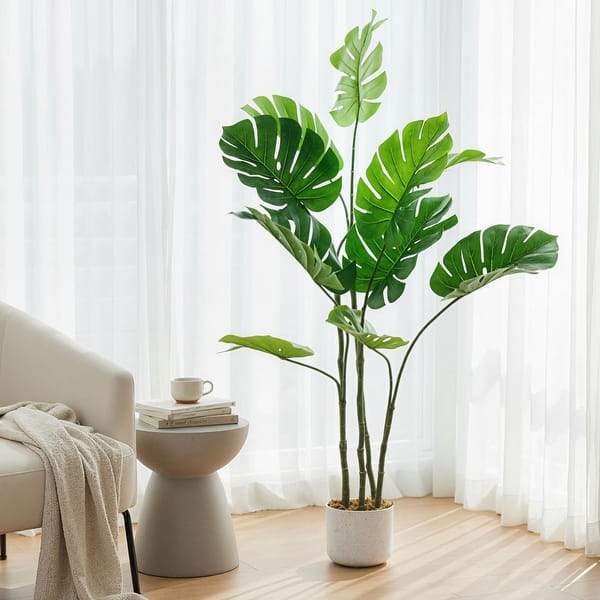 pink lady philodendron Philodendron Pink Princess in Trellis, Philodendron Erubescens main image 0